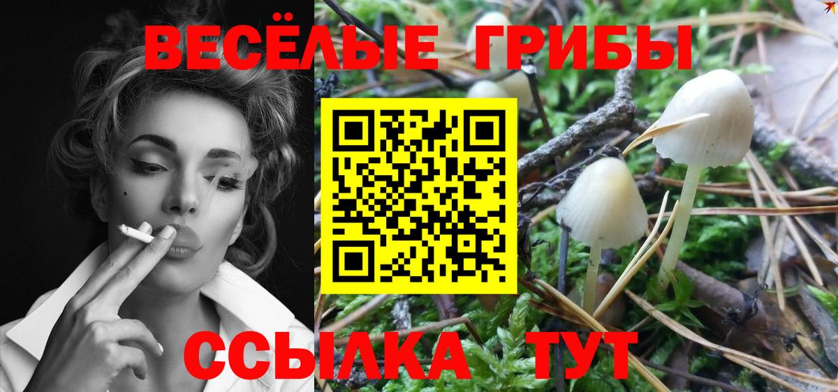 Псилоцибиновые грибы Magic Shrooms  Вход с VPN  Сибай 